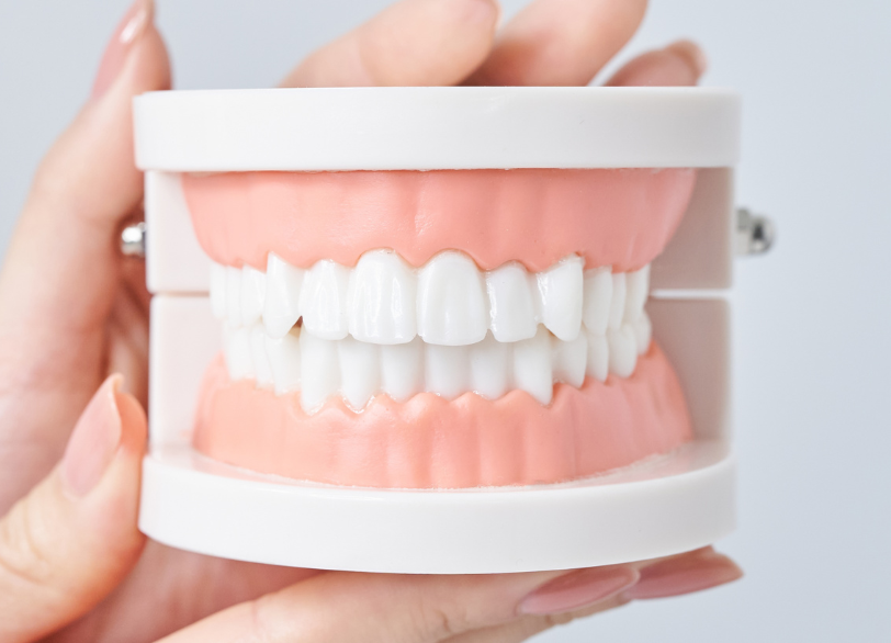 噛み合わせの改善による咀嚼機能の向上｜芦屋ラポルテ