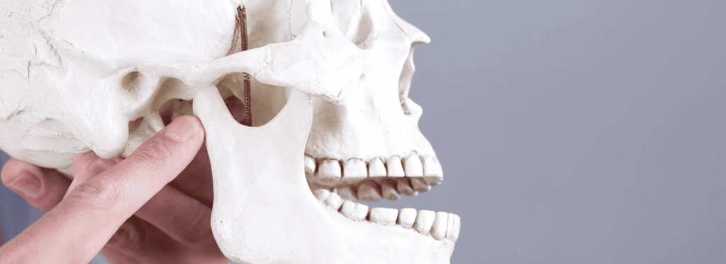 噛み合わせの乱れと顎関節症｜芦屋ラポルテ