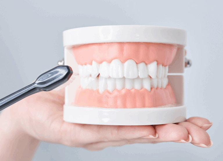 歯磨き指導｜芦屋ラポルテ