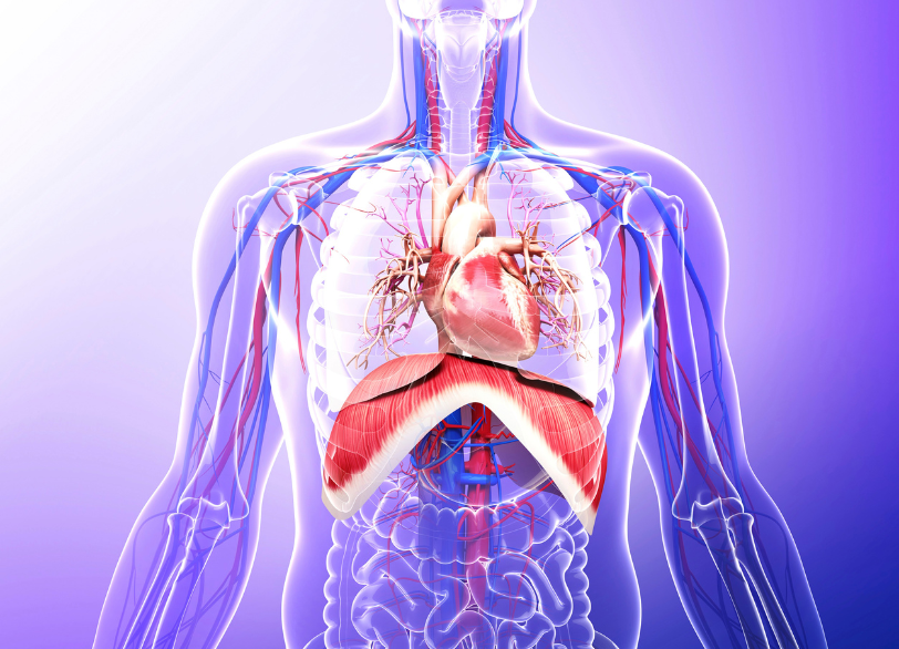 全身の病気｜芦屋ラポルテ