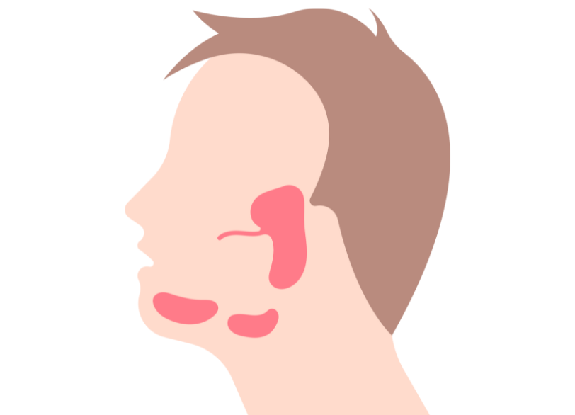 唾液腺のマッサージ｜芦屋ラポルテ